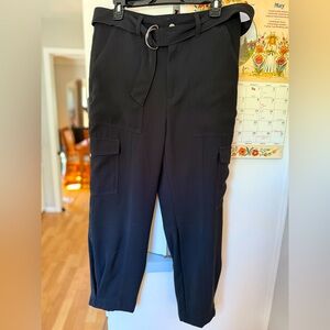 Banana Republic Ankle Pant - Size 10